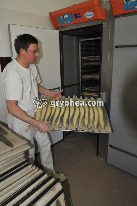 Fabrication du pain - Mise des pâtons en chambre de fermentation - gryphea.org